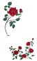 facilities:slq_wiki:roses.png
