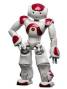 digital_literacy:technology_resources:nao:nao.jpg