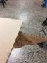 engagement:grumpus:reflective_practise:img_0363_top_plate_alignment_v2_rotated.jpg